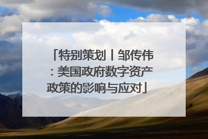 特别策划丨邹传伟：美国政府数字资产政策的影响与应对